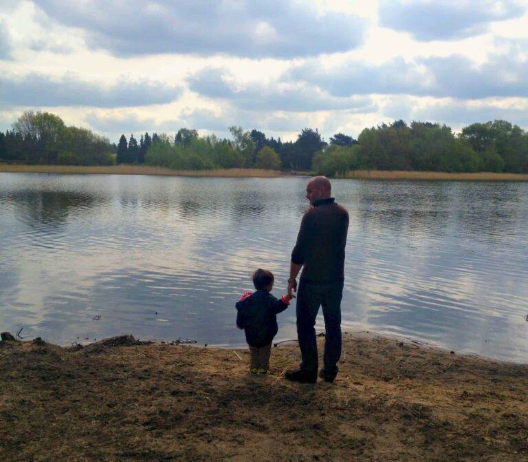 Frensham Pond walk - All You Need To Know | My Travel Monkey
