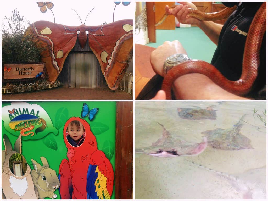 Family Fun at Longleat Safari & Adventure Park