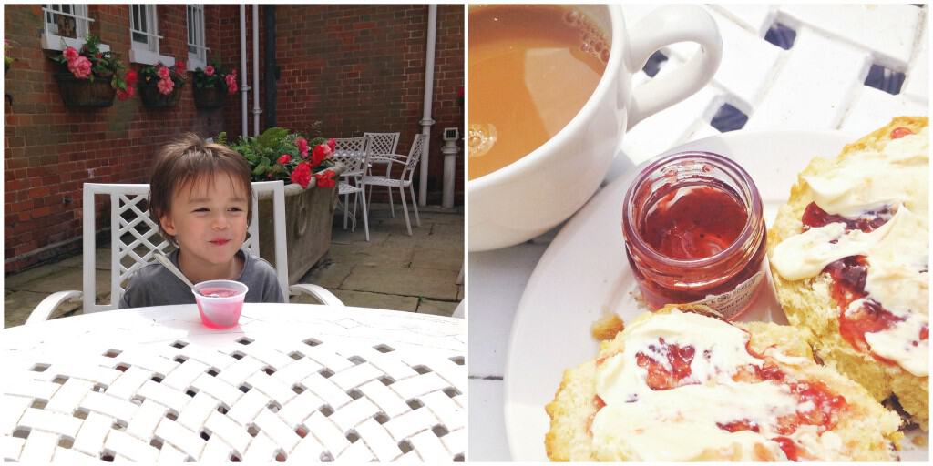Cream tea at National Trust's Hatchlands Park My Travel Monkey
