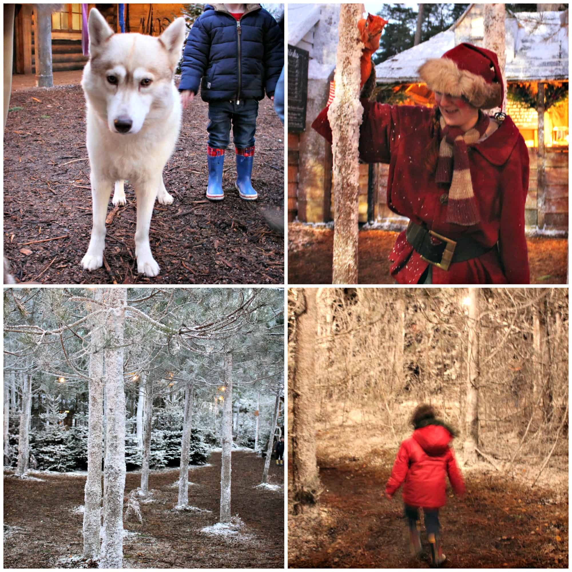 A Family Day Out at Lapland UK | My Travel Monkey