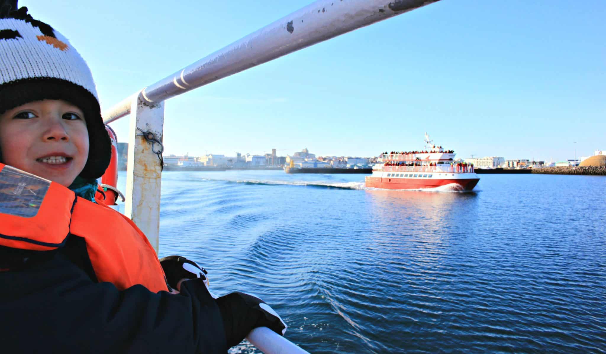 Whale Watching in Iceland | My Travel Monkey