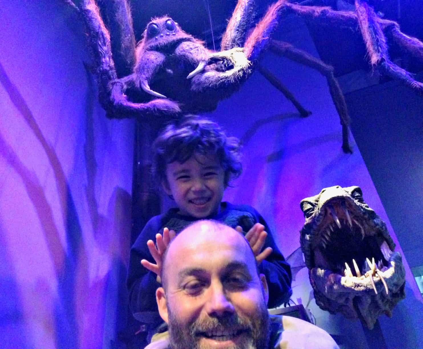 Harry Potter Studio Tour review: At the Forbidden Forest-My Travel Monkey