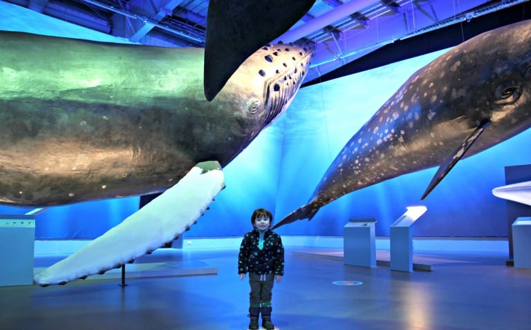 18 Unmissable European Museums To Visit With Kids