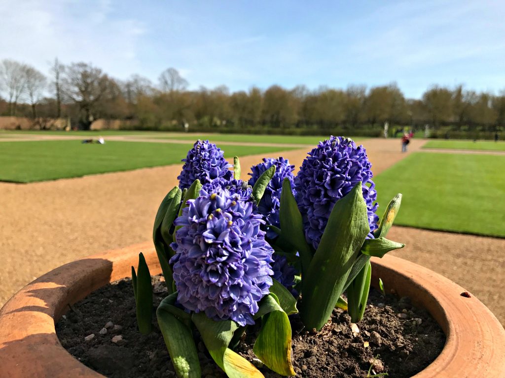Ham House National Trust | My Travel Monkey