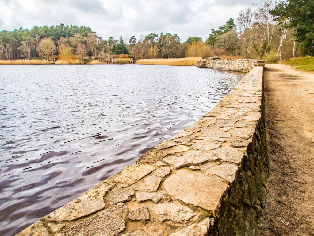 Frensham Pond walk guide-surrey-My Travel Monkey