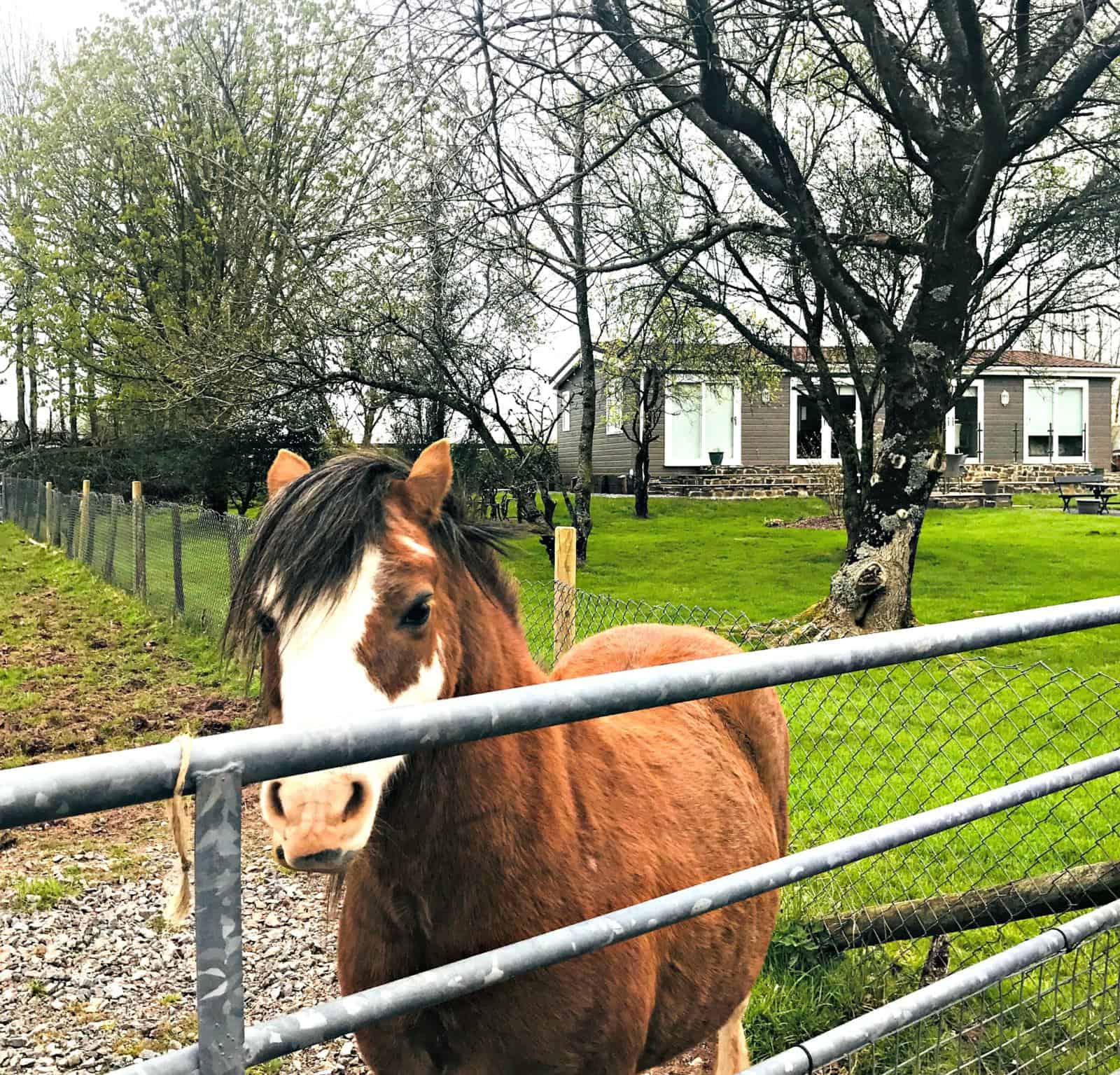 Coastal Cottages | My Travel Monkey