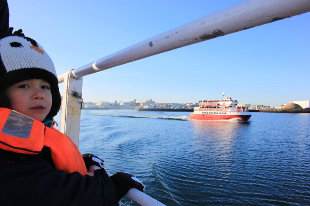 whale watching in Iceland-My Travel Monkey