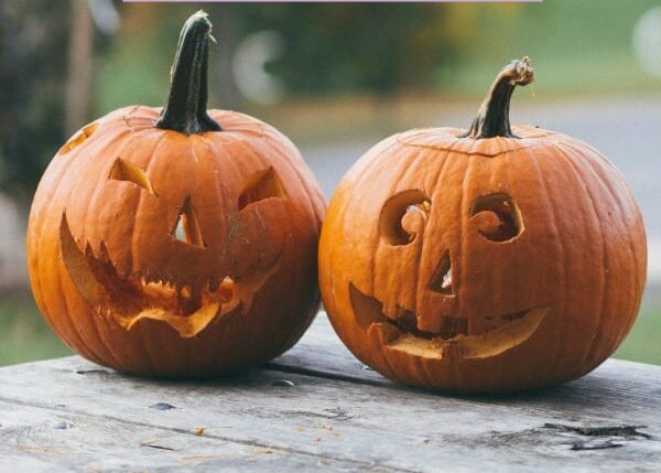 Pumpkin Picking Surrey | My Travel Monkey