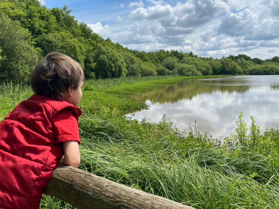 A Guide To Epsom Common | My Travel Monkey