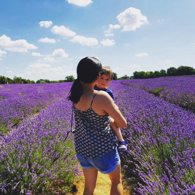 London to Mayfield Lavender Farm guide-My Travel Monkey