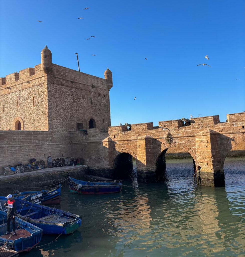 Essaouira harbour - My Travel Monkey