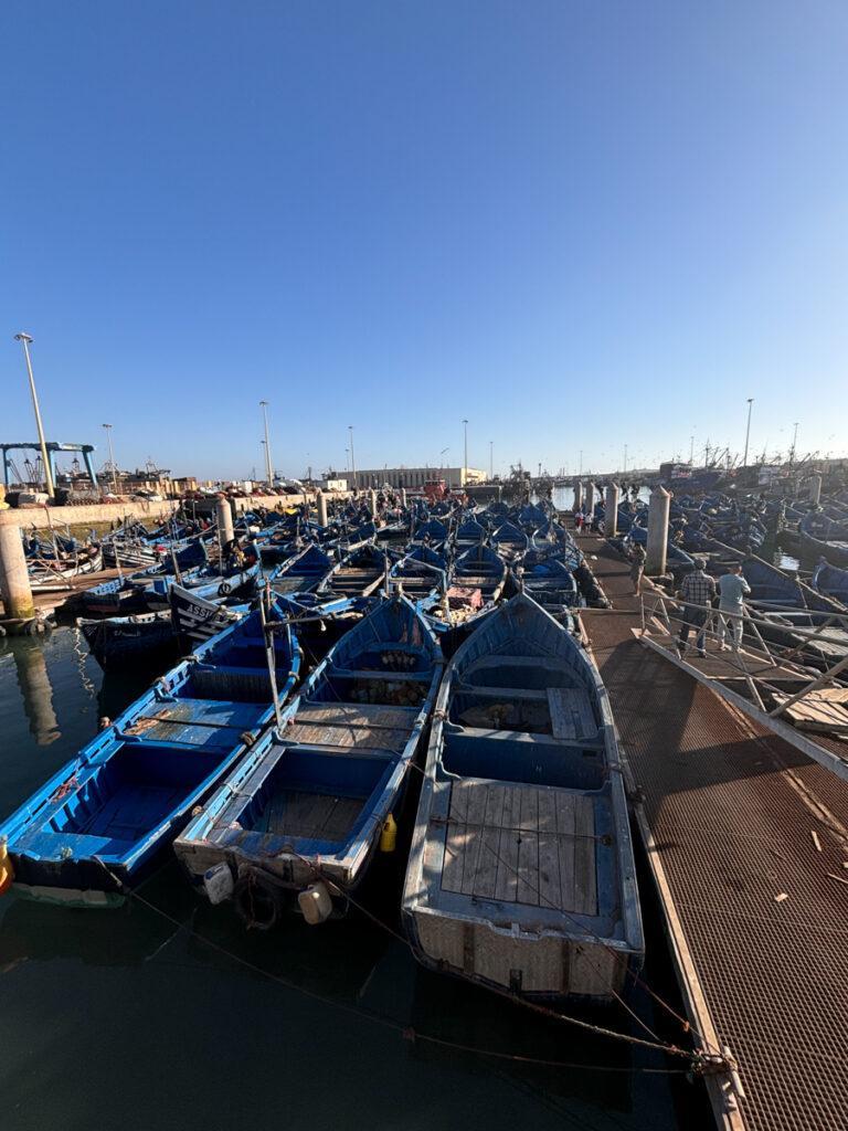 Fishing boats-My Travel Monkey