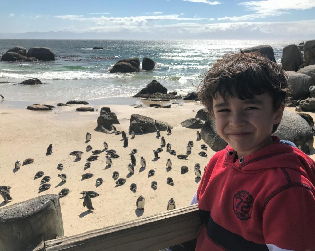 Penguins at Boulders Beach-My Travel Monkey- two week South Africa itinerary