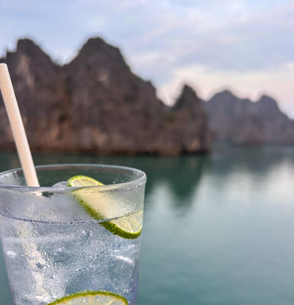 Gin and tonic on Dragon Legeng cruise-My Travel Monkey