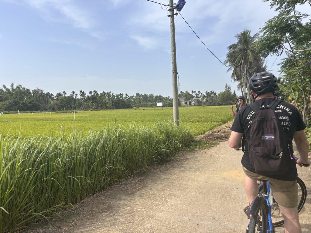 Hoi An bike tour past rice paddy fields -My Travel Monkey