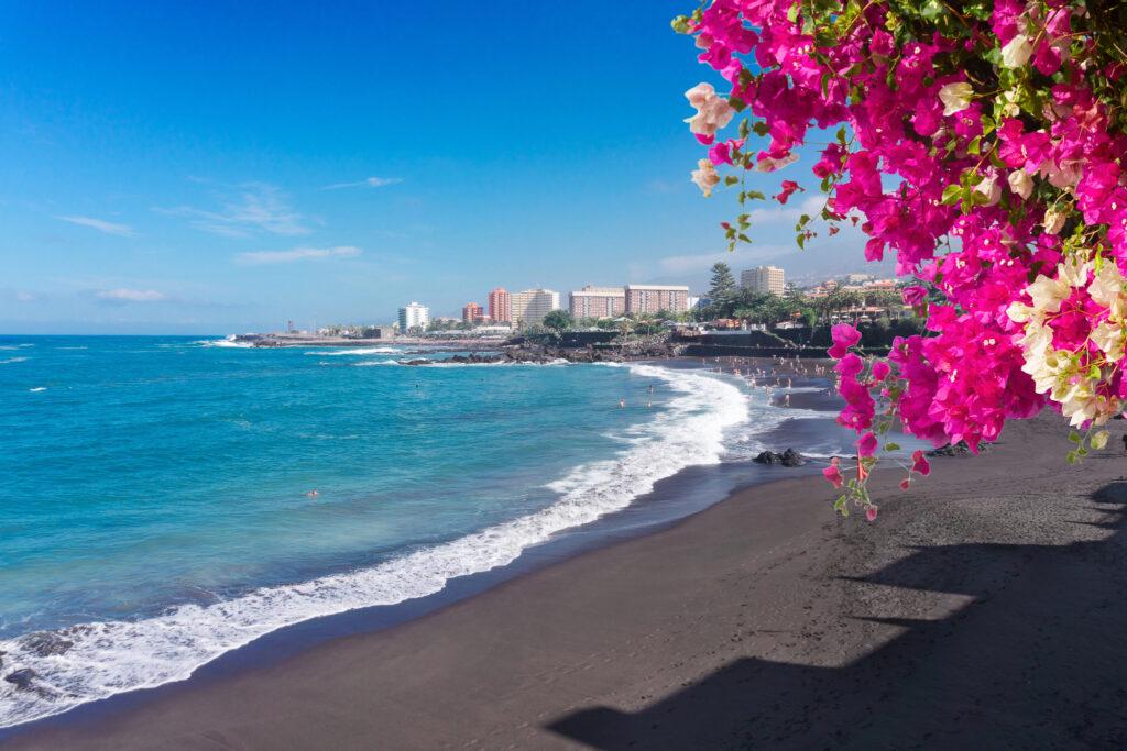 Puerto de la Cruz, Tenerife-My Travel Monkey