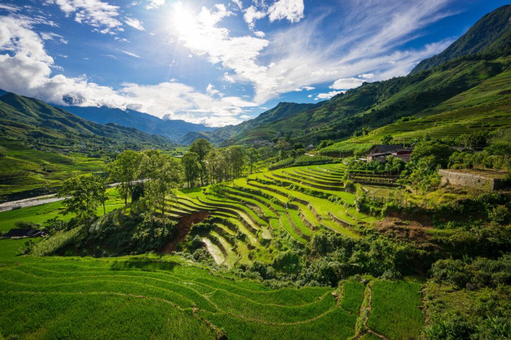 Sapa rice terraces-Vietnam-My Travel Monkey