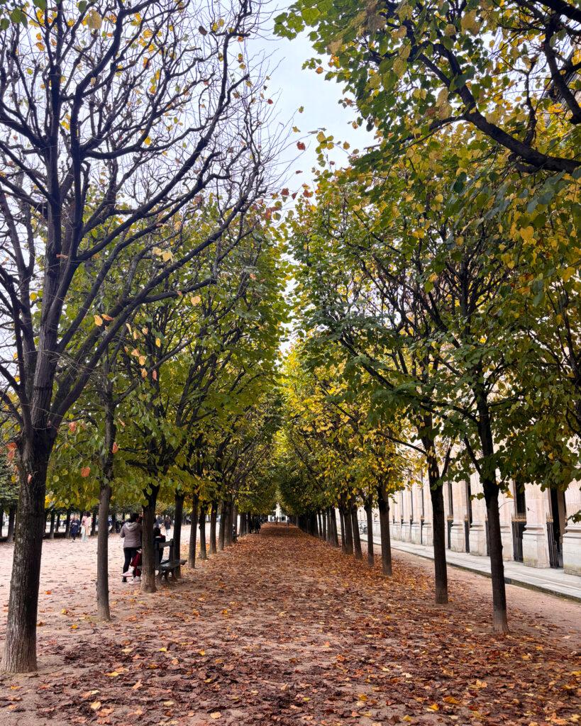 Jardin du Palais Royal-Paris-My Travel Monkey