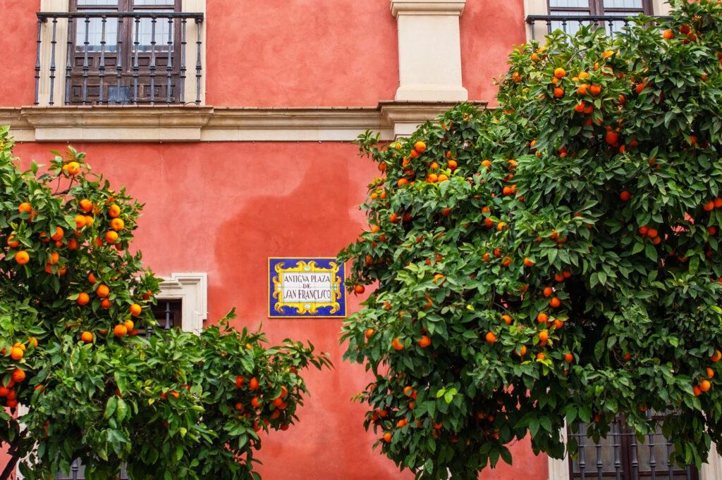 Exploring Old Town Seville-My Travel Monkey
