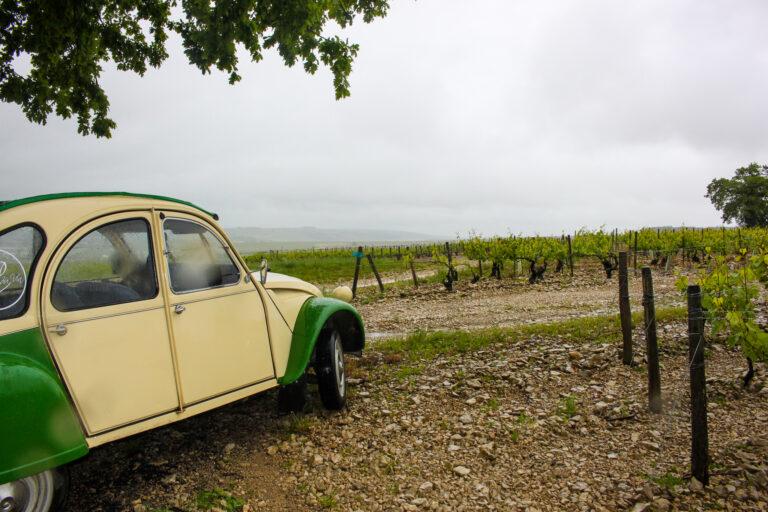 The best things to do in Burgundy-classic Citroën 2CV-wine tour in Burgundy-My Travel Monkey