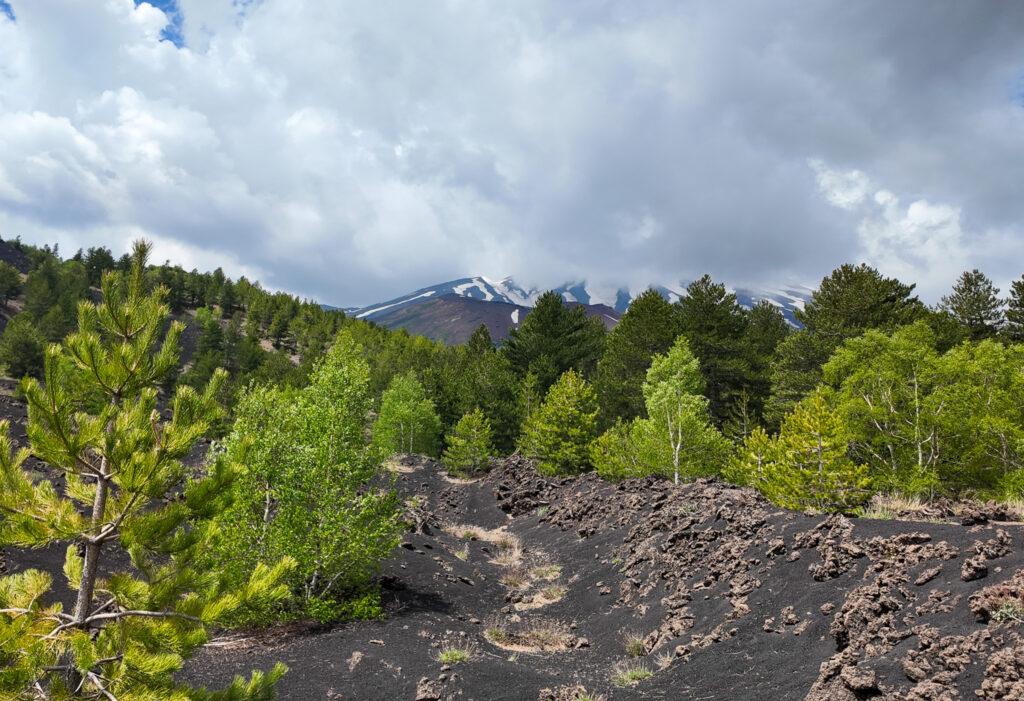 At a crater on Mount Etna-My Travel Monkey