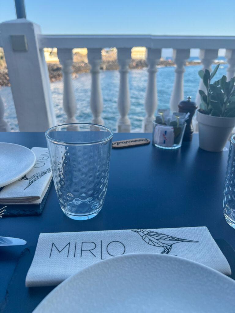 Mirlo La Caleta-Tenerife-My Travel Monkey