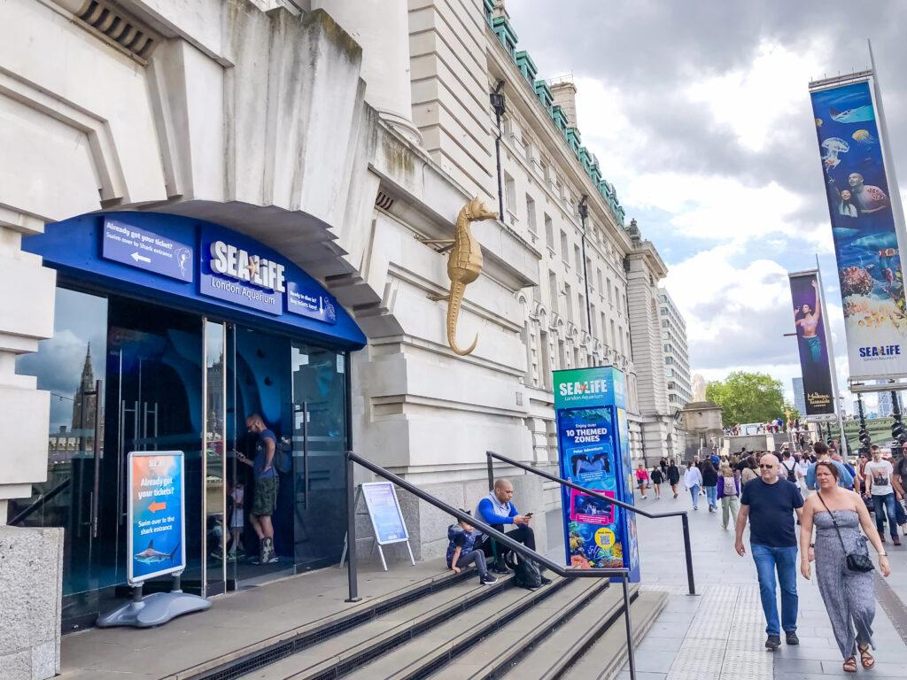 Sea Life-London-My Travel Monkey