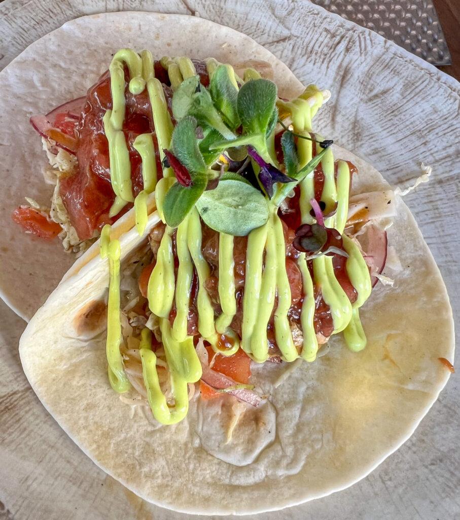 Tacos in Valencia-My Travel Monkey